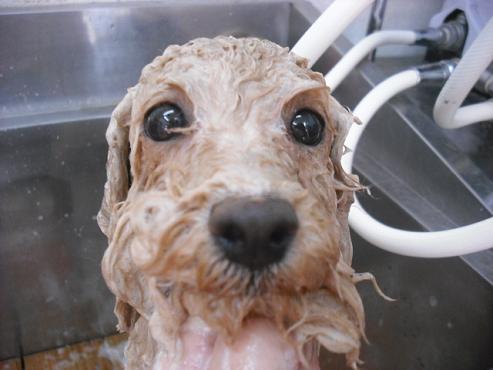 ファイル 323-2.jpg