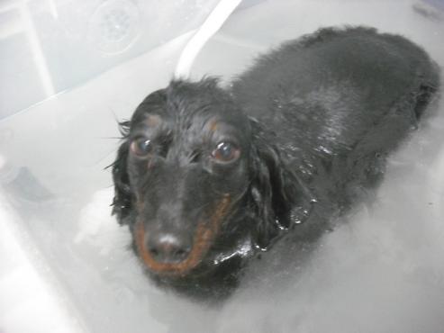 ファイル 3230-2.jpg