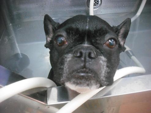 ファイル 3234-2.jpg