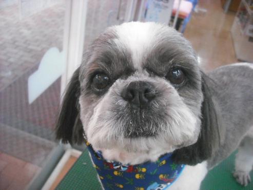 ファイル 3235-1.jpg