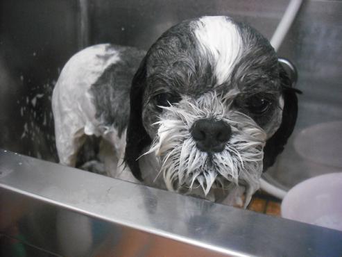 ファイル 3235-2.jpg