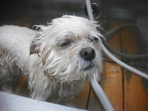 ファイル 3236-2.jpg