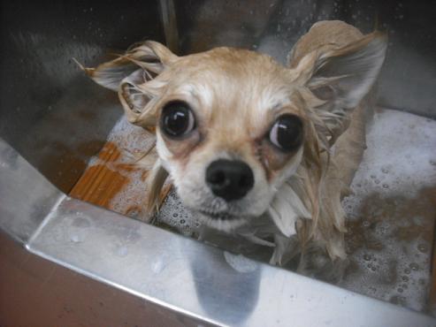 ファイル 3237-2.jpg