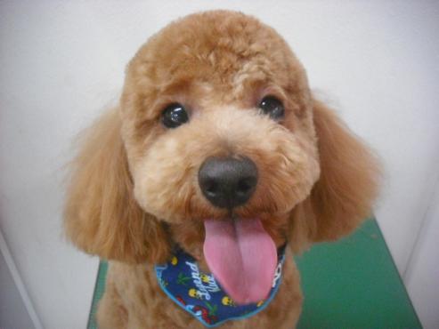 ファイル 3238-1.jpg