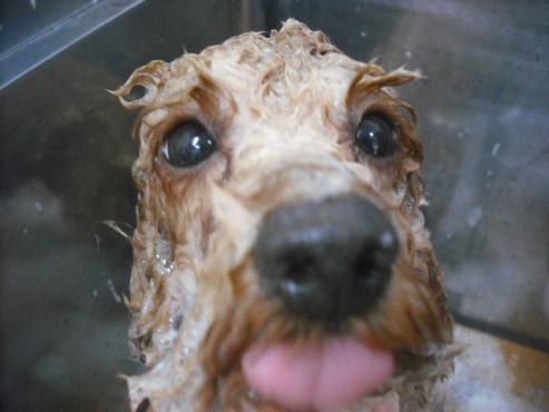 ファイル 3238-2.jpg