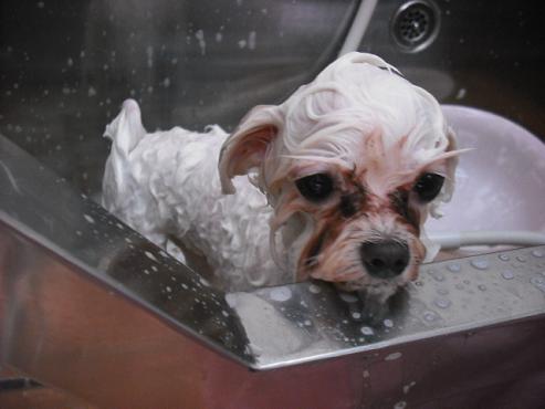 ファイル 324-3.jpg