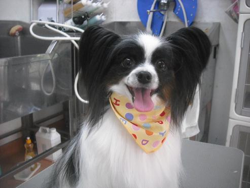 ファイル 3240-1.jpg