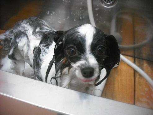 ファイル 3240-2.jpg