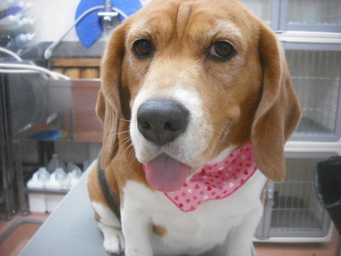 ファイル 3242-1.jpg