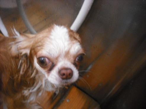 ファイル 3243-2.jpg