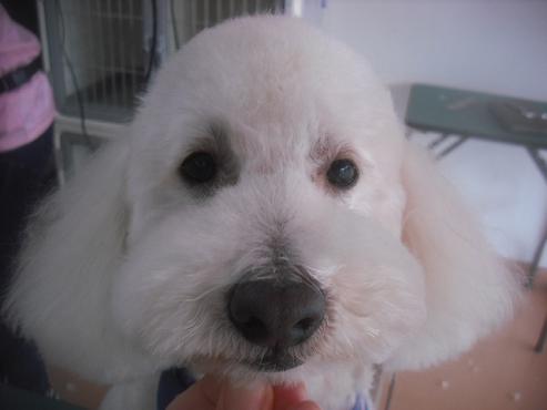 ファイル 3244-1.jpg