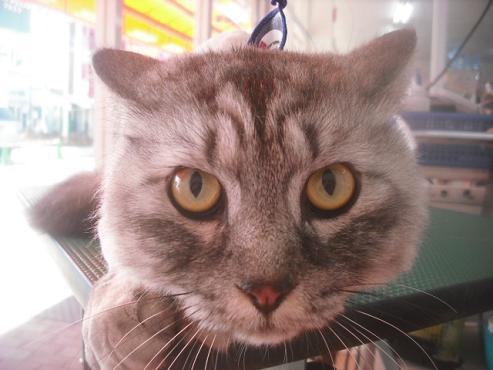 ファイル 3246-1.jpg