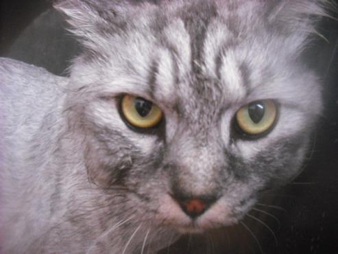 ファイル 3246-2.jpg