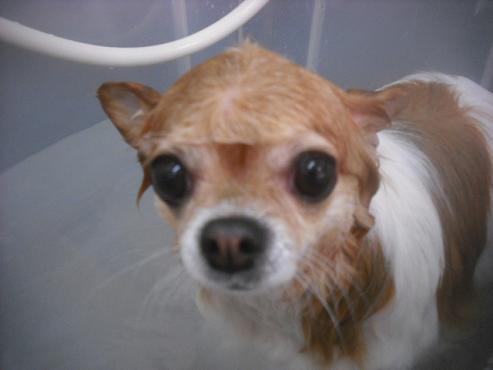 ファイル 3247-2.jpg