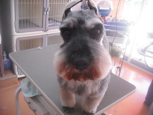 ファイル 3248-1.jpg