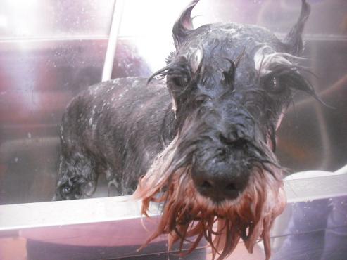 ファイル 3248-2.jpg