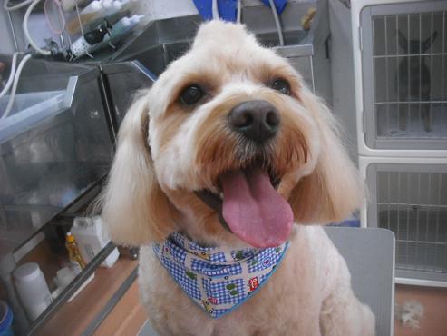 ファイル 3249-1.jpg