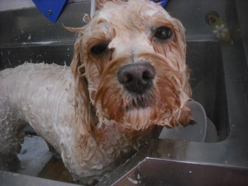 ファイル 3249-2.jpg