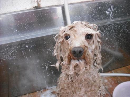 ファイル 325-2.jpg