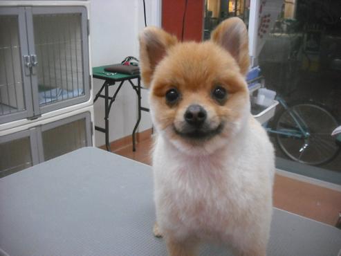 ファイル 3250-1.jpg