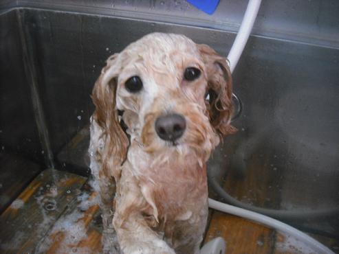 ファイル 3251-2.jpg