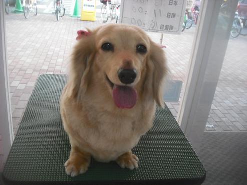 ファイル 3252-1.jpg