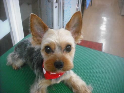 ファイル 3253-1.jpg