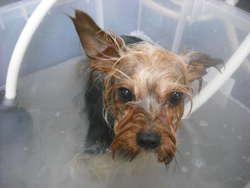 ファイル 3253-2.jpg