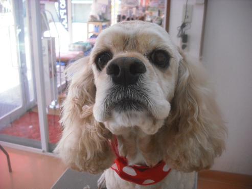 ファイル 3254-1.jpg