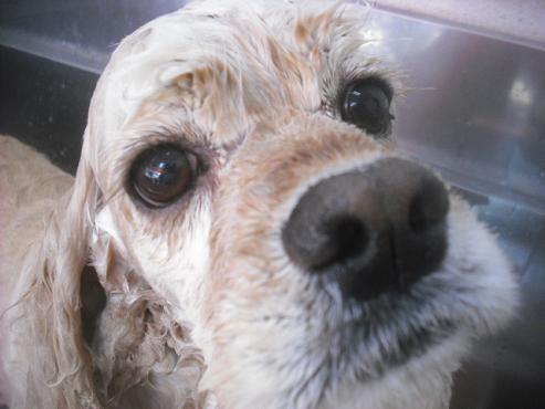 ファイル 3254-2.jpg