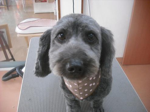 ファイル 3256-1.jpg