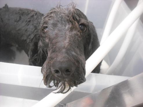 ファイル 3256-2.jpg