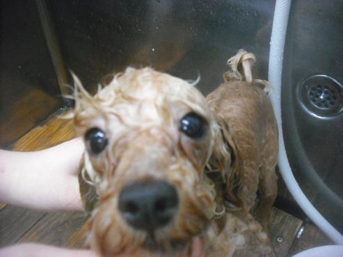 ファイル 3257-2.jpg