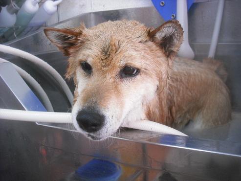 ファイル 3258-2.jpg