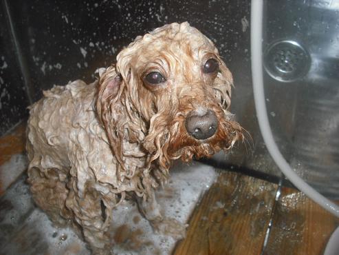 ファイル 3259-2.jpg