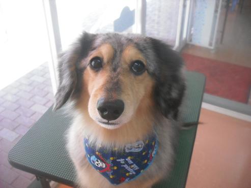 ファイル 3260-1.jpg