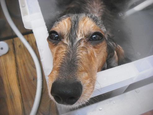 ファイル 3260-2.jpg