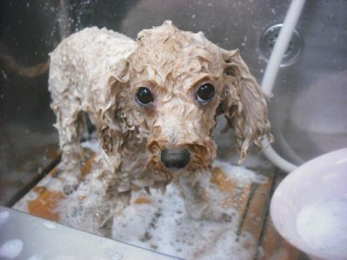 ファイル 3261-2.jpg