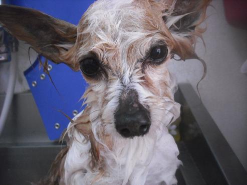 ファイル 3262-2.jpg