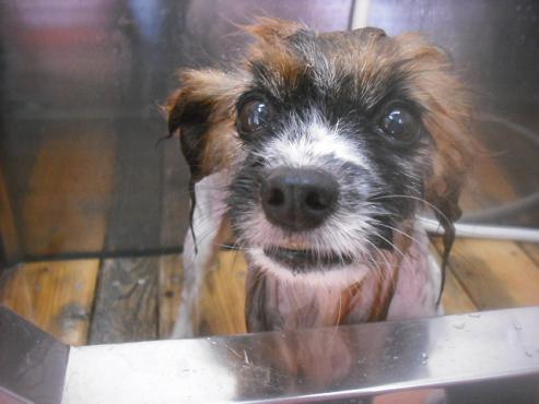 ファイル 3264-2.jpg