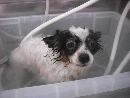 ファイル 3265-2.jpg