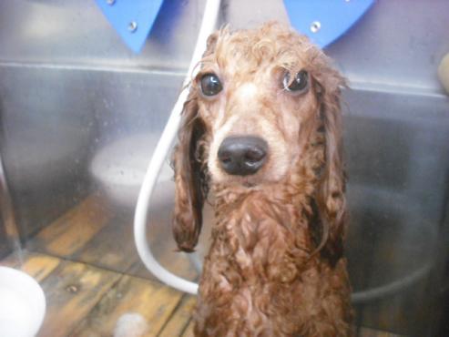 ファイル 3266-2.jpg