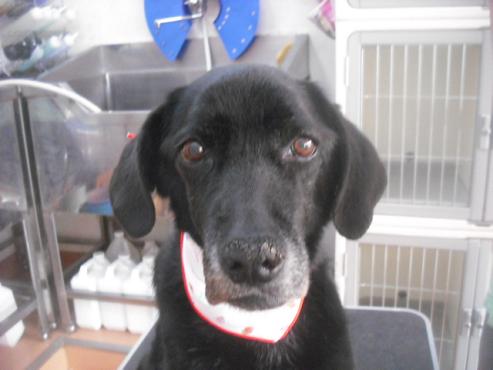 ファイル 3267-1.jpg