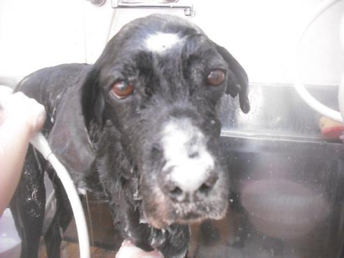 ファイル 3267-2.jpg