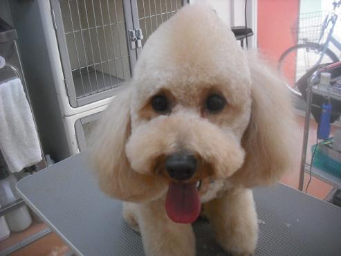 ファイル 3268-1.jpg