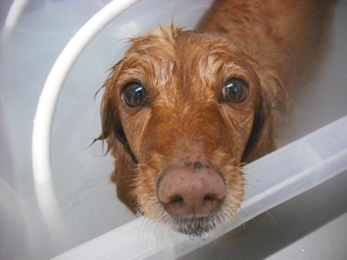 ファイル 3269-2.jpg