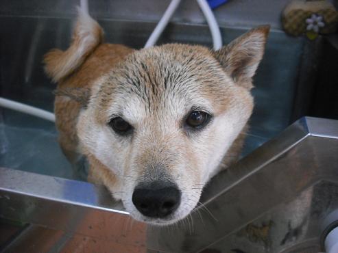 ファイル 327-2.jpg