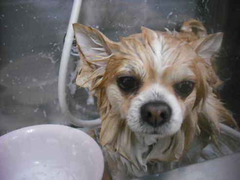 ファイル 3270-2.jpg