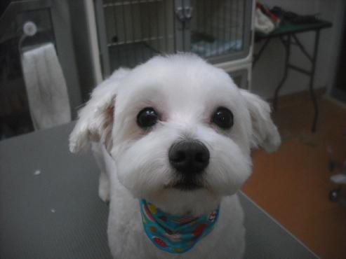 ファイル 3271-1.jpg