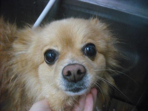 ファイル 3272-2.jpg